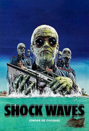 Shock Waves's poster