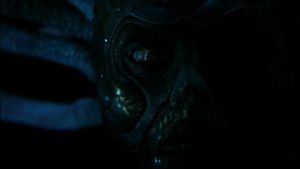 Species II's poster