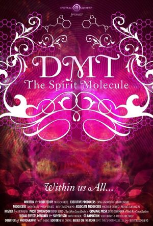 DMT: The Spirit Molecule's poster