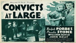 Convicts at Large's poster