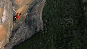 Free Solo's poster