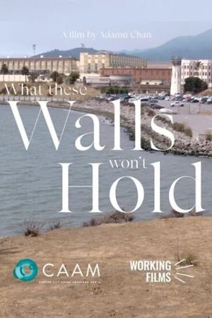 What These Walls Won't Hold's poster