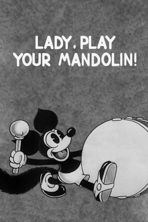 Lady, Play Your Mandolin!'s poster image