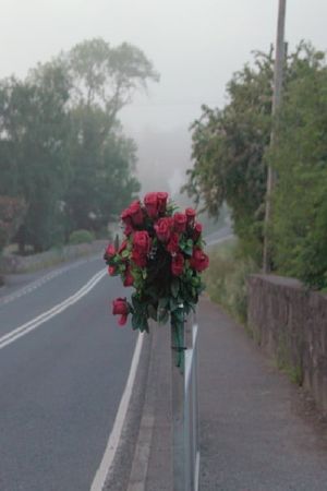 No Stone Unturned's poster