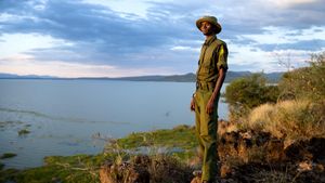 Saving Giraffes: The Long Journey Home's poster