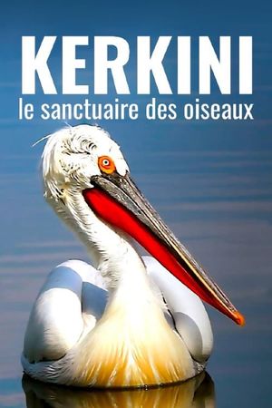 Kerkini: The Bird Sanctuary's poster