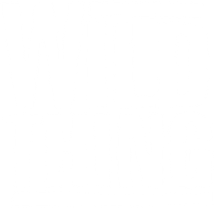 Wild Thing's poster