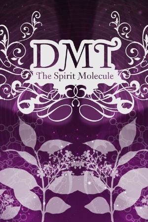 DMT: The Spirit Molecule's poster