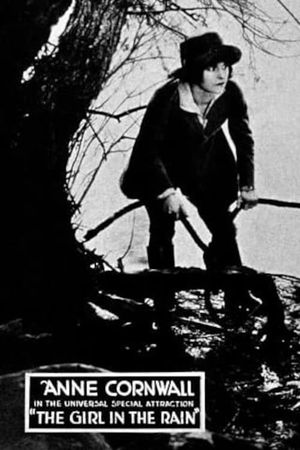 The Girl in the Rain's poster