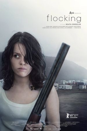 Flocking's poster