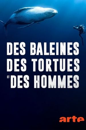 Des baleines, des tortues et des hommes's poster