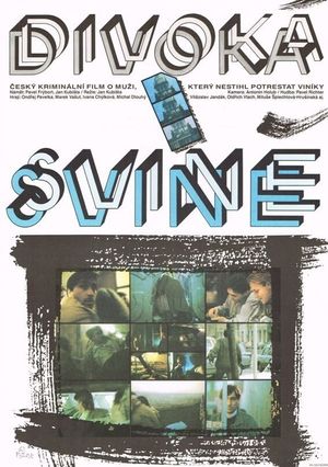 Divoká svine's poster