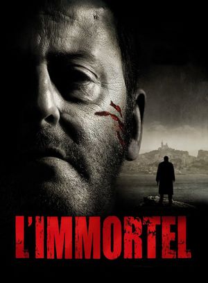 22 Bullets's poster