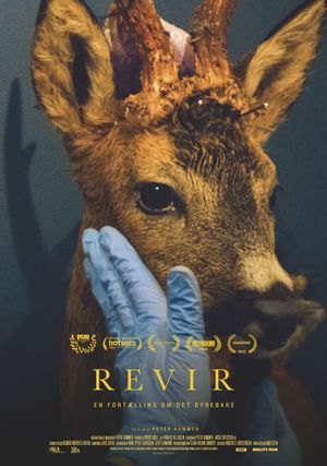 Revir - Everything You Hold Dear's poster