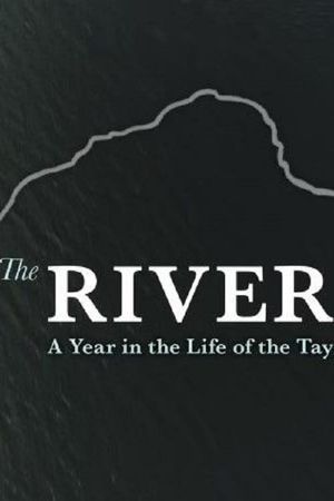 The River: A Year in the Life of the Tay's poster