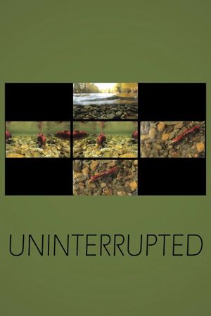 Uninterrupted's poster