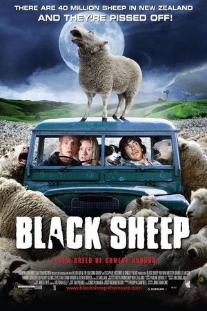 Black Sheep's poster