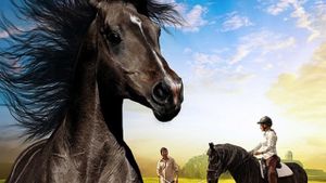 The Dark Horse's poster