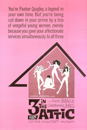 Three in the Attic's poster