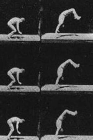 Unsuccessful Somersault's poster