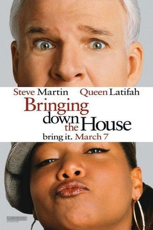 Bringing Down the House's poster