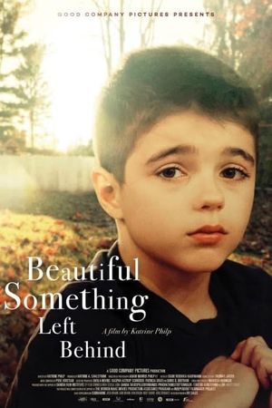 Beautiful Something Left Behind's poster