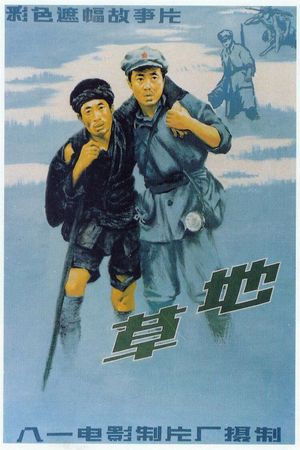 草地's poster