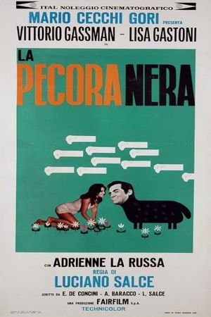 La pecora nera's poster