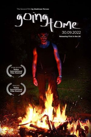 Going Home's poster image