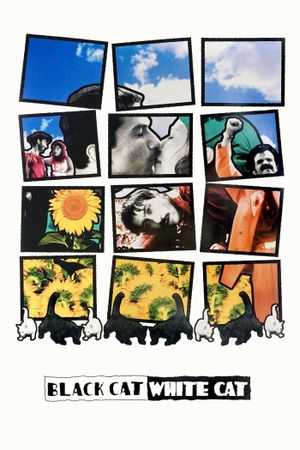 Black Cat, White Cat's poster