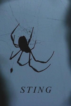 Sting's poster