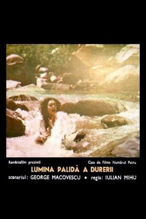 Lumina palida a durerii's poster