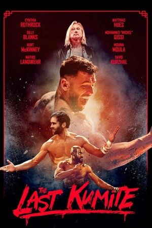 The Last Kumite's poster