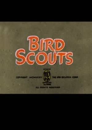 Bird Scouts's poster