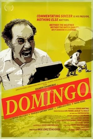 Domingo's poster