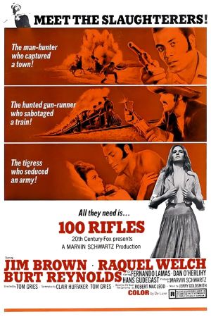 100 Rifles's poster