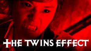 The Twins Effect's poster