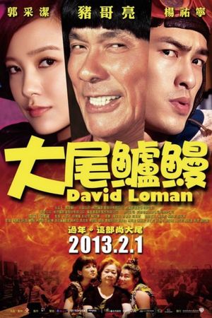 David Loman's poster