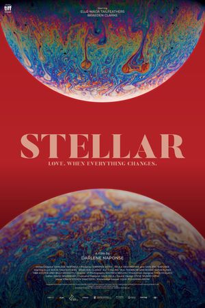 Stellar's poster