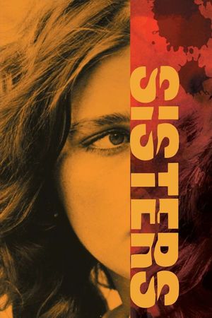 Sisters's poster
