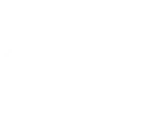 The Dry's poster