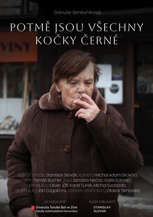 Potmě jsou všechny kočky černé's poster