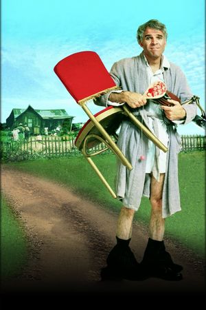 The Jerk's poster