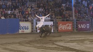 Bull Jumping's poster