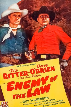Enemy of the Law's poster