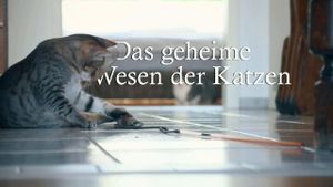 Das geheime Wesen der Katzen's poster