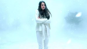 White Bird in a Blizzard's poster