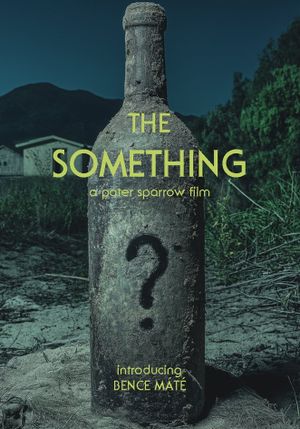 The Something's poster