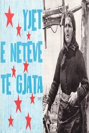 Yjet e netëve të gjata's poster