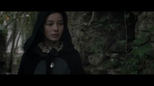 The Lodgers's poster